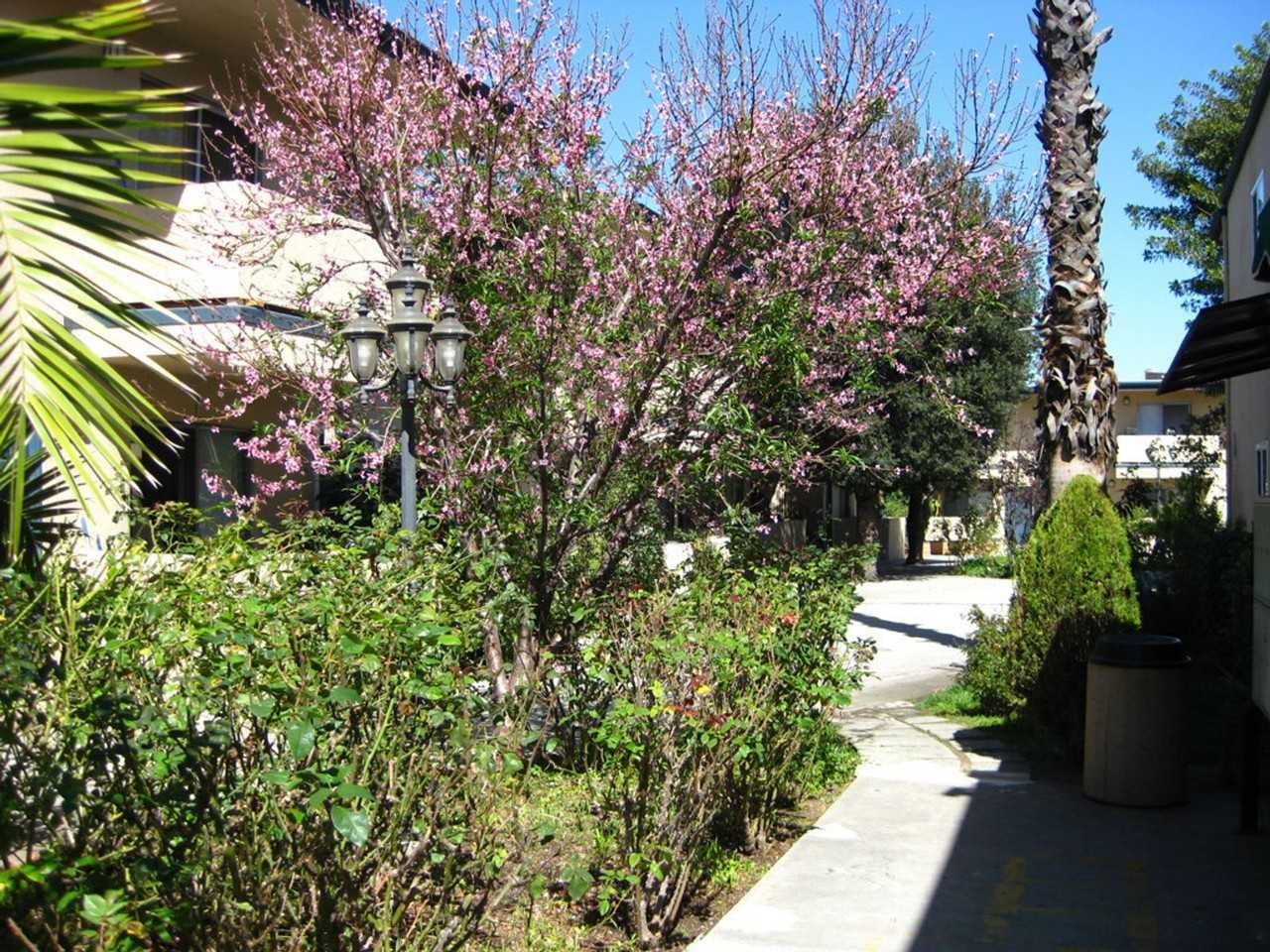 Tarzana Court Apartments - Photo 4 of 4