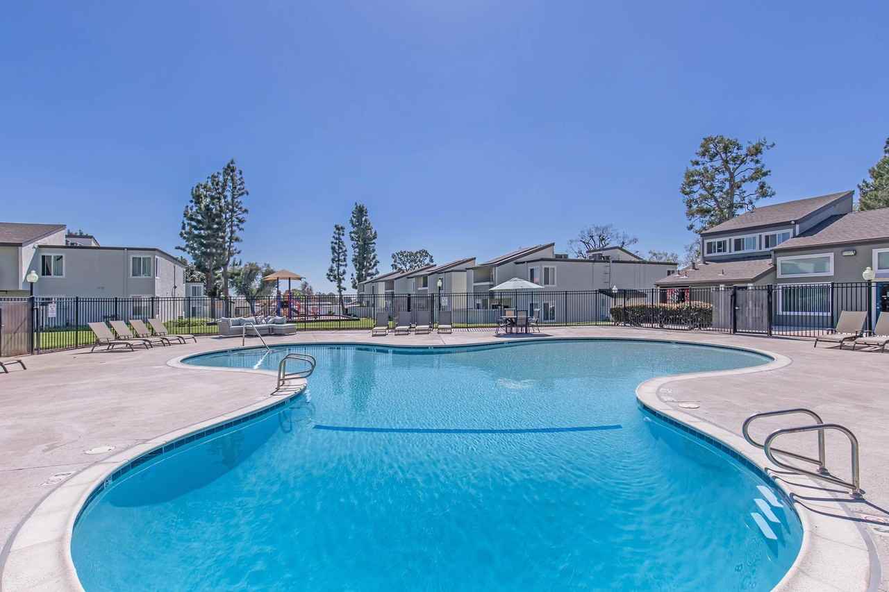 Plum Tree - Photo 2 of 50