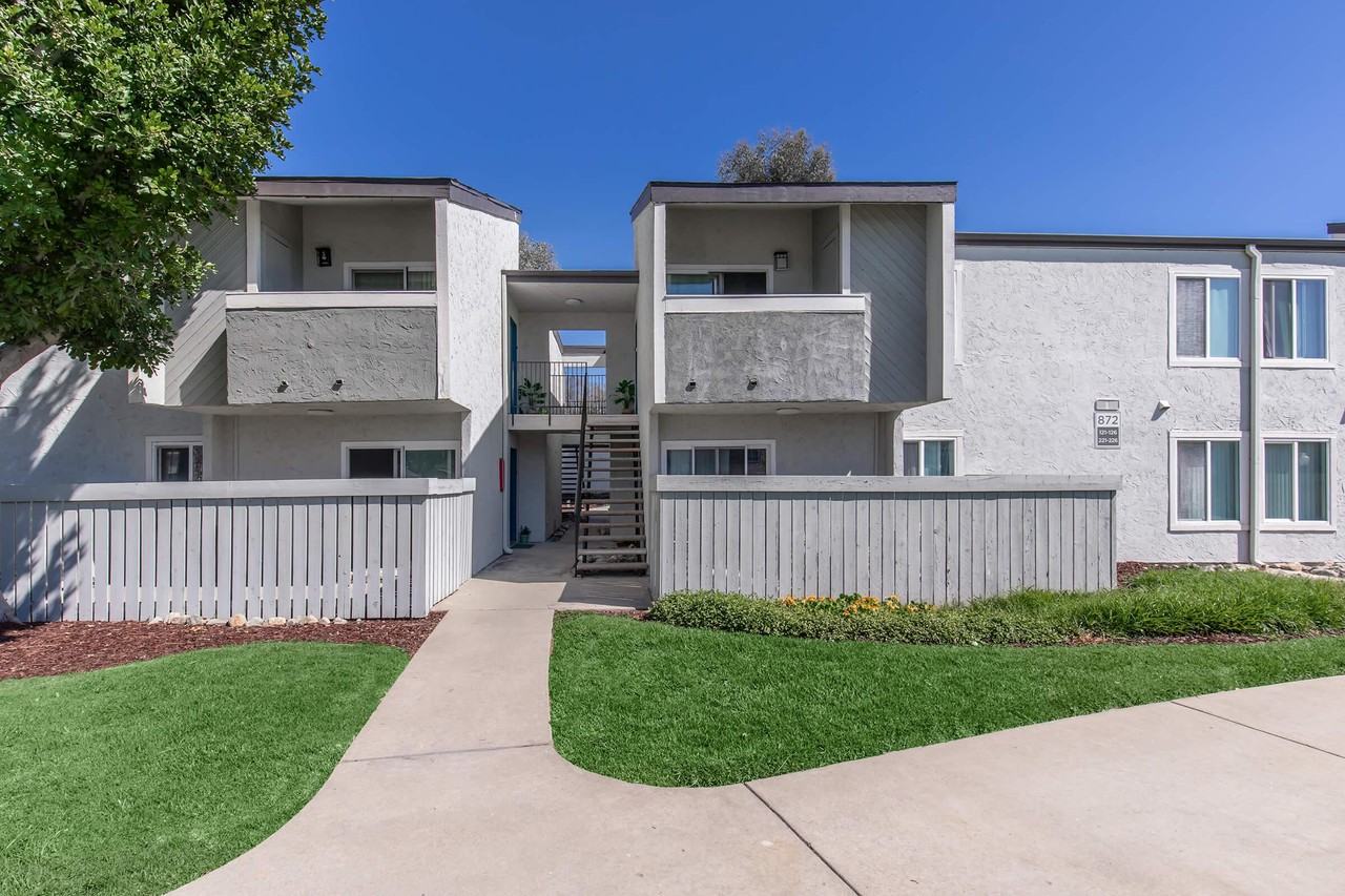 Plum Tree - Photo 4 of 50