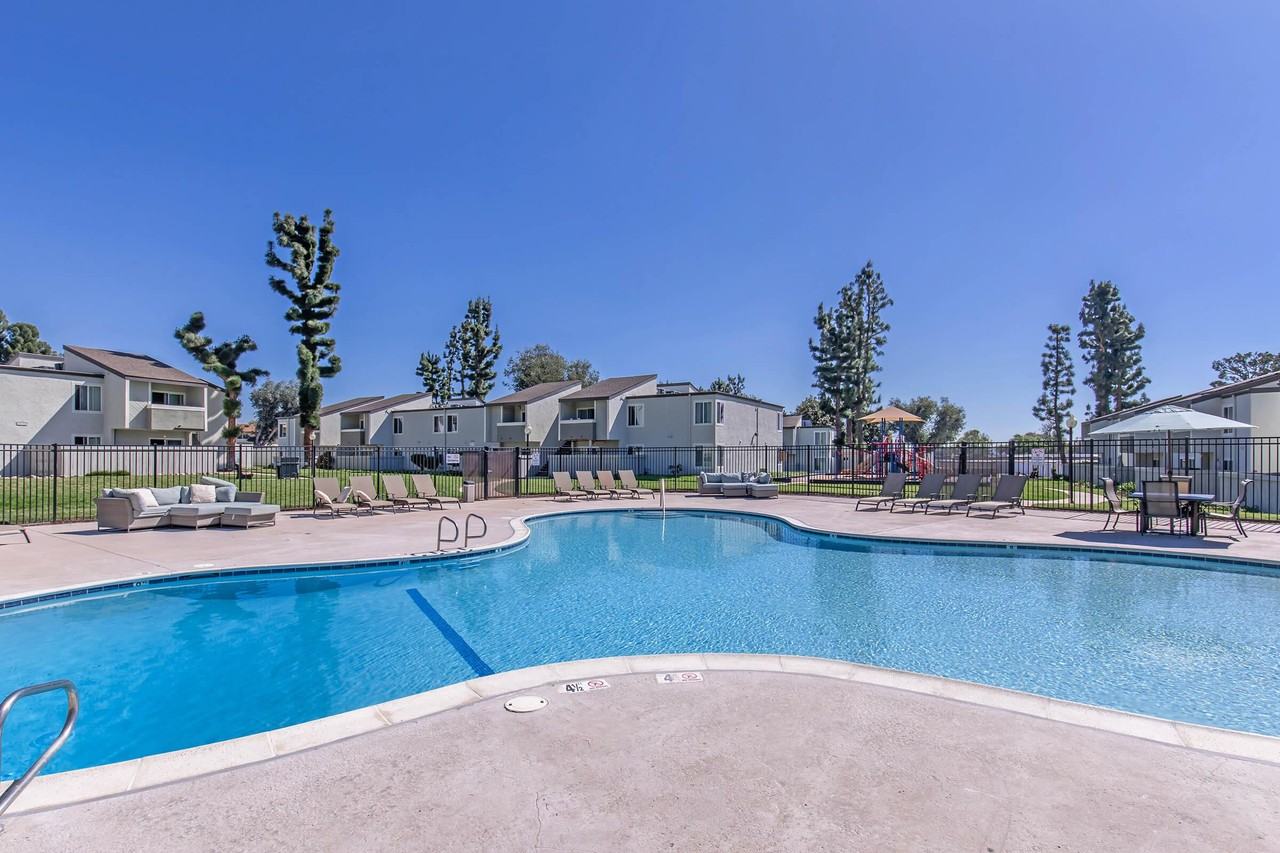 Plum Tree - Photo 6 of 50