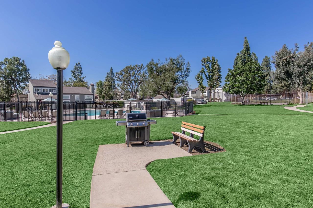 Plum Tree - Photo 7 of 50