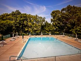 36 Whitemarsh Ct #NA - Photo 1 of 1