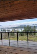 6308 Lake Pointe Way #0 - Photo 1 of 1