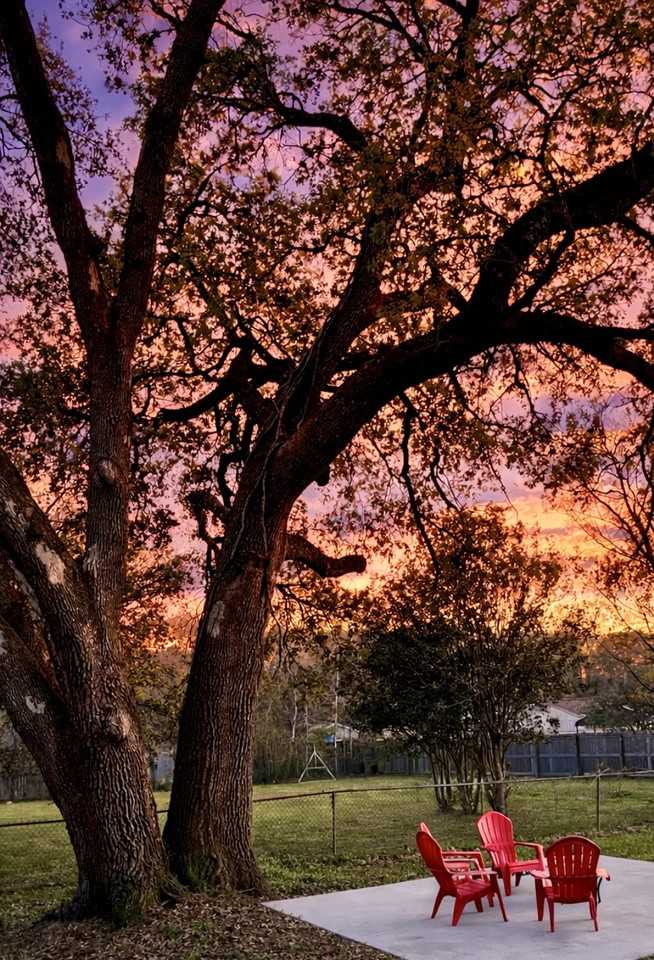 1605 Mcmillan Ave #NA - Photo 3 of 25