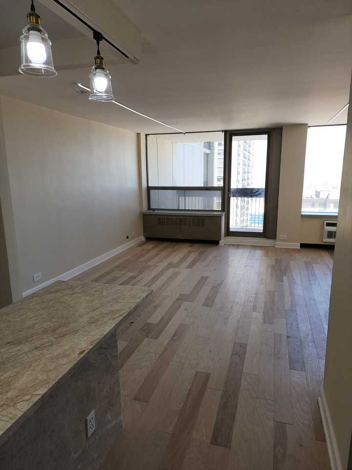 1460 N Sandburg Ter #2006 - Photo 2 of 26