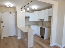 featured image of 1460 N Sandburg Ter #2006