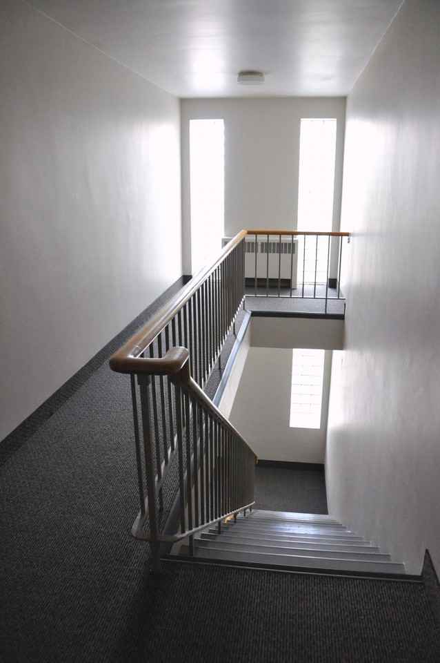 The Wildwood - Photo 2 of 7