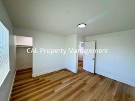 featured image of 213 Ellis St