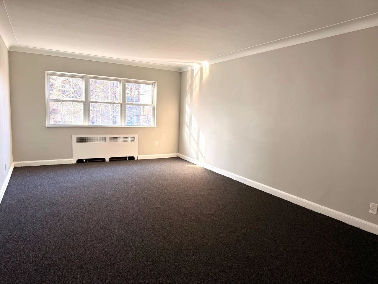 41 Niles St - Photo 4 of 7