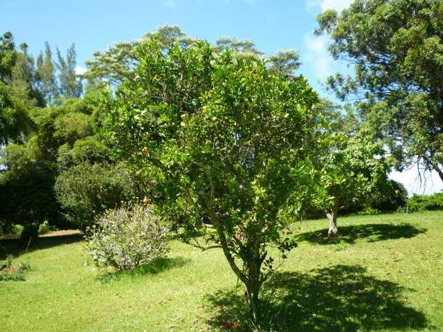 2695 Lia Pl - Photo 5 of 26