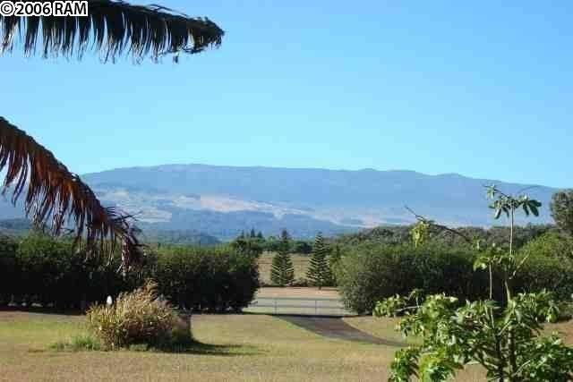 2695 Lia Pl - Photo 7 of 26