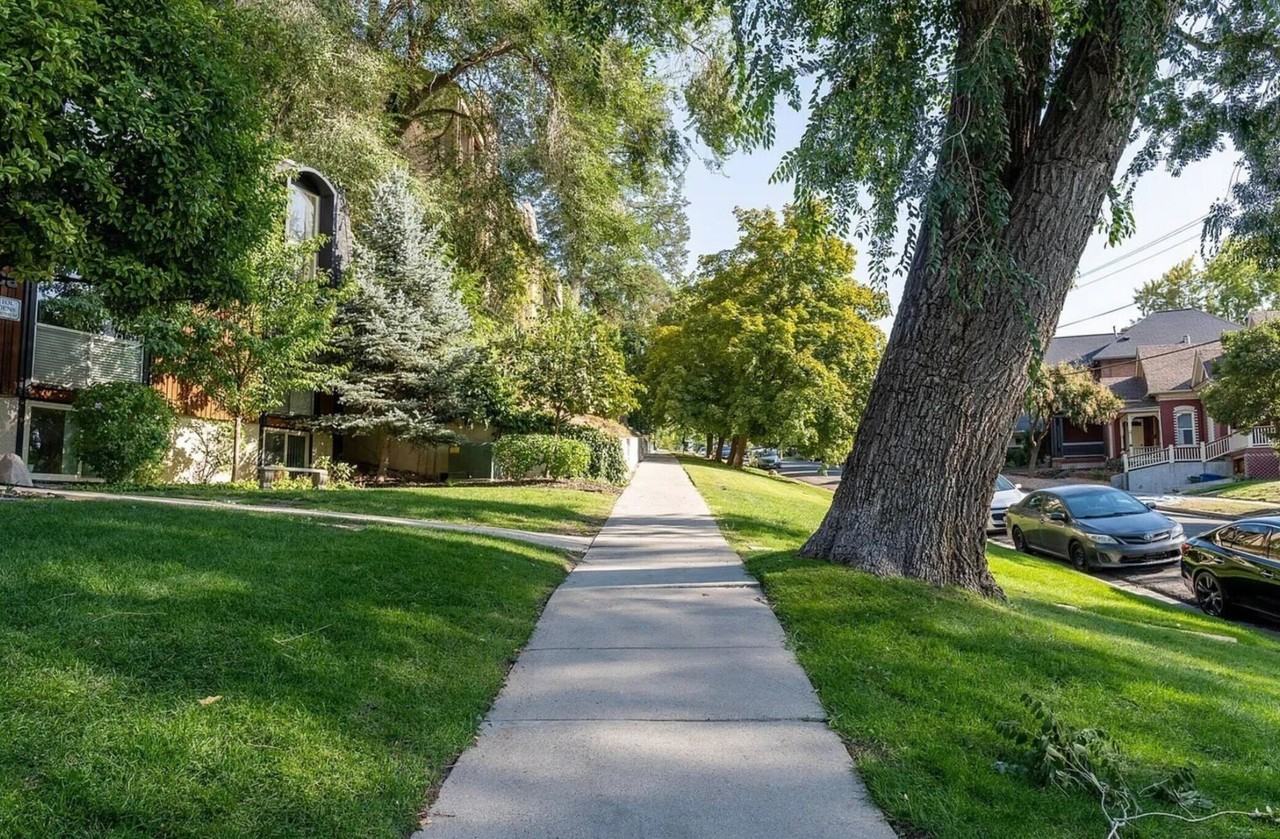 438 N Center St #102 - Photo 3 of 19