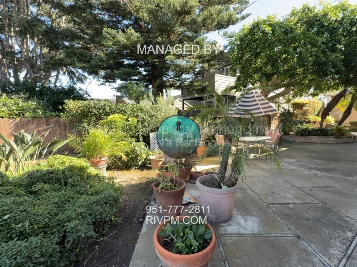 379 Cypress Dr #5 - Photo 4 of 10