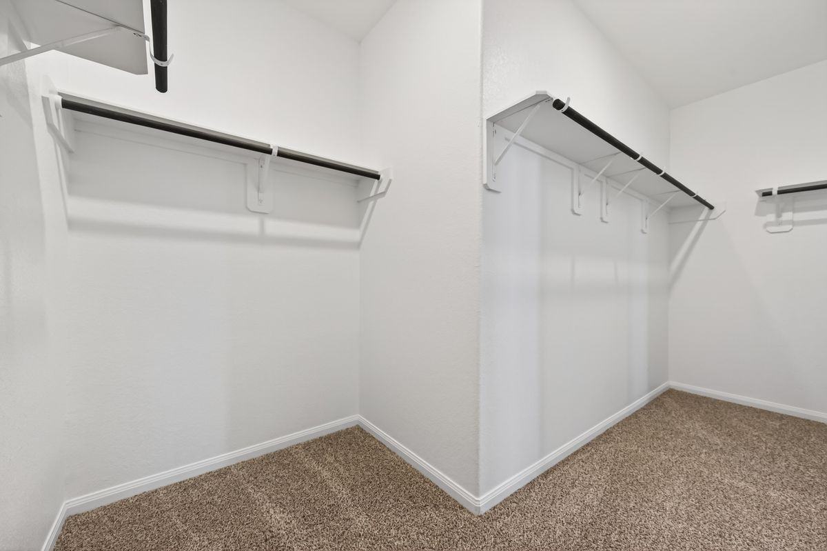 3903 Giorgio Pastel Pl - Photo 6 of 50