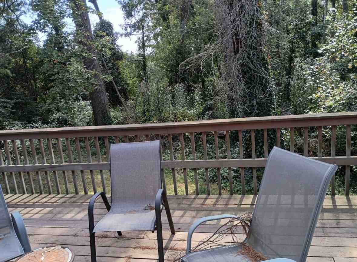 1065 Mountain View St - Photo 5 of 14