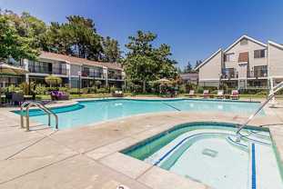 Brookside Oaks - Photo 1 of 1