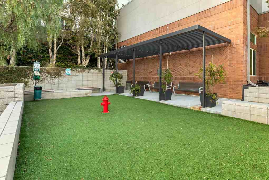 Wilshire La Brea - Photo 6 of 50