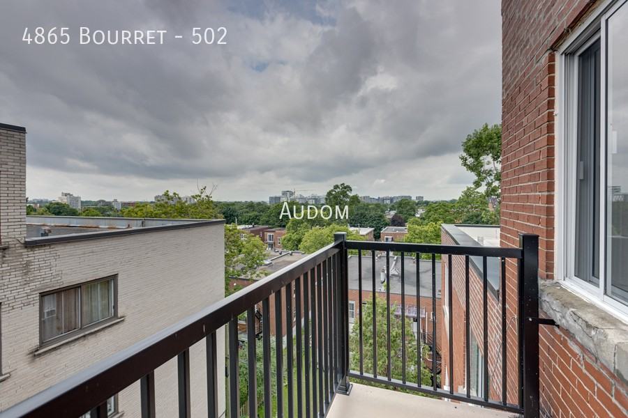 Bourret - Photo 5 of 13