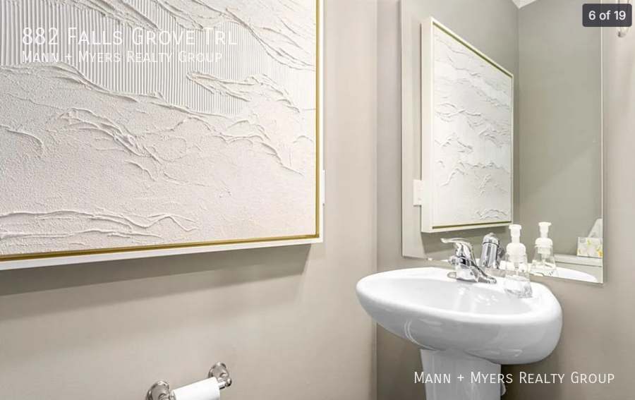 882 Falls Grove Trl - Photo 6 of 18