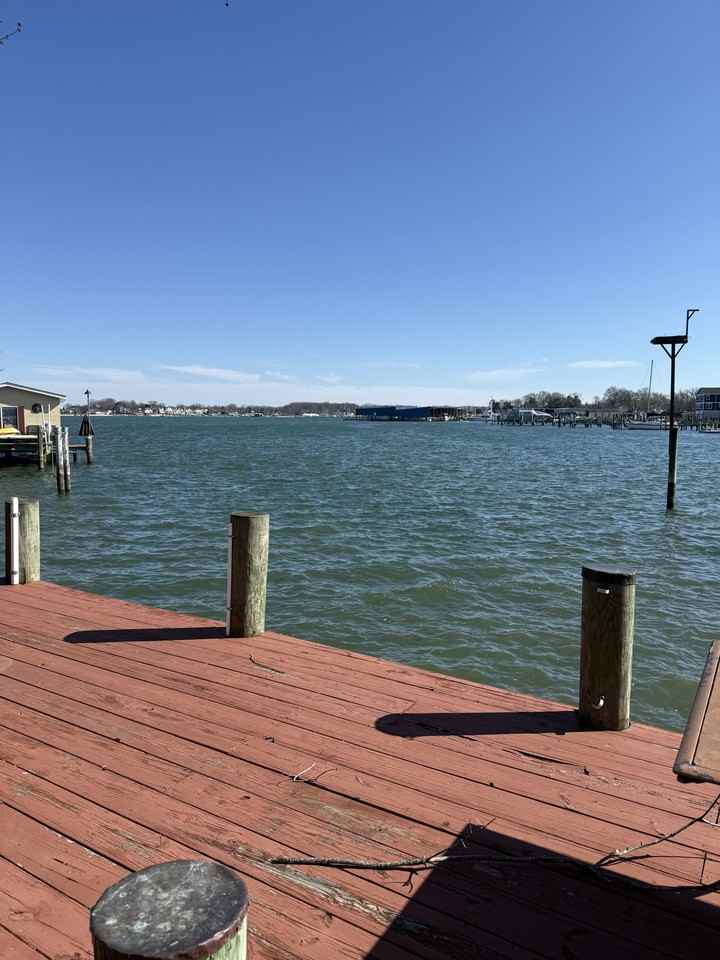 943 Williams St - Photo 3 of 20