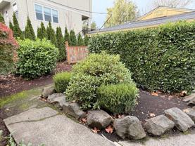 11240 Sw Barbur Blvd #23 - Photo 1 of 1