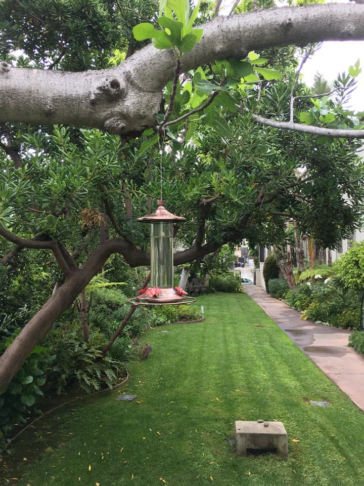 632 1/4 N Plymouth Blvd #632-25 - Photo 7 of 8