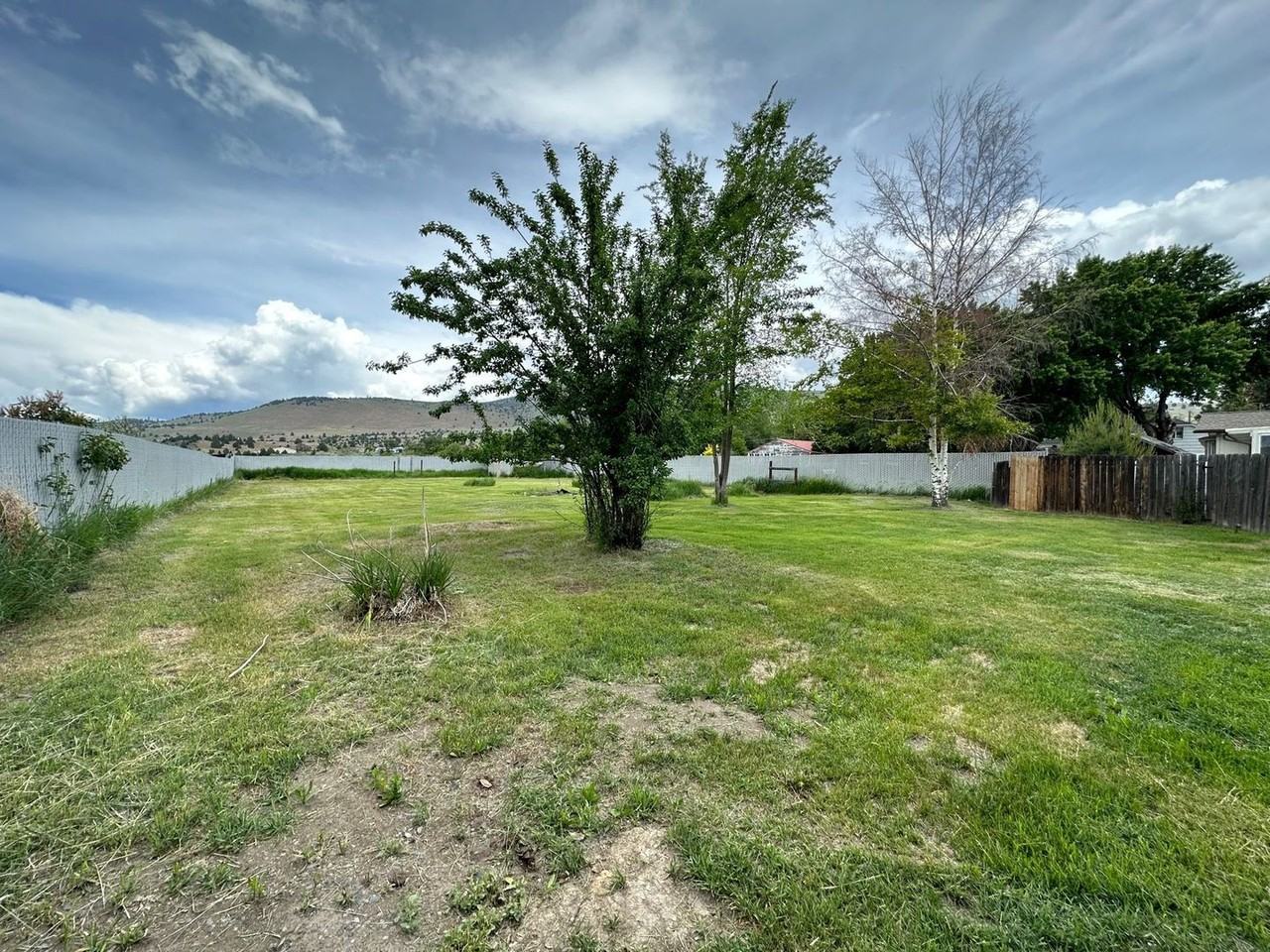 4831 Frieda Ave - Photo 6 of 14