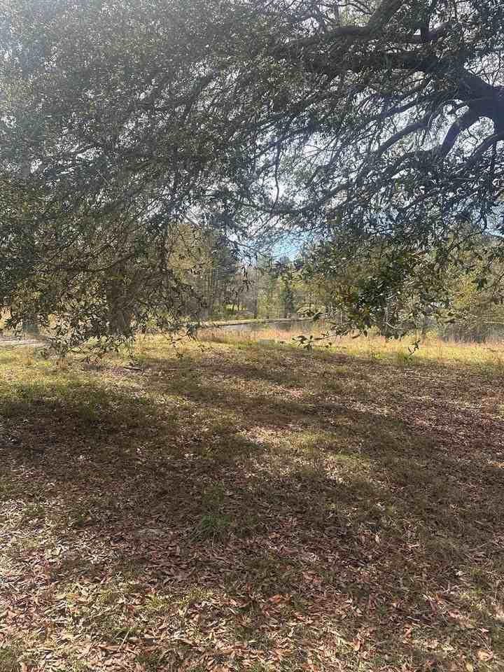 1605 Clifford Meeks Rd - Photo 3 of 3