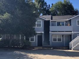 featured image of Branch-South