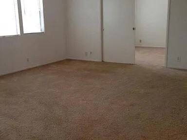 Branch-South - Photo 4 of 4