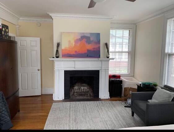 88 Cooke Street - Photo 4 of 42