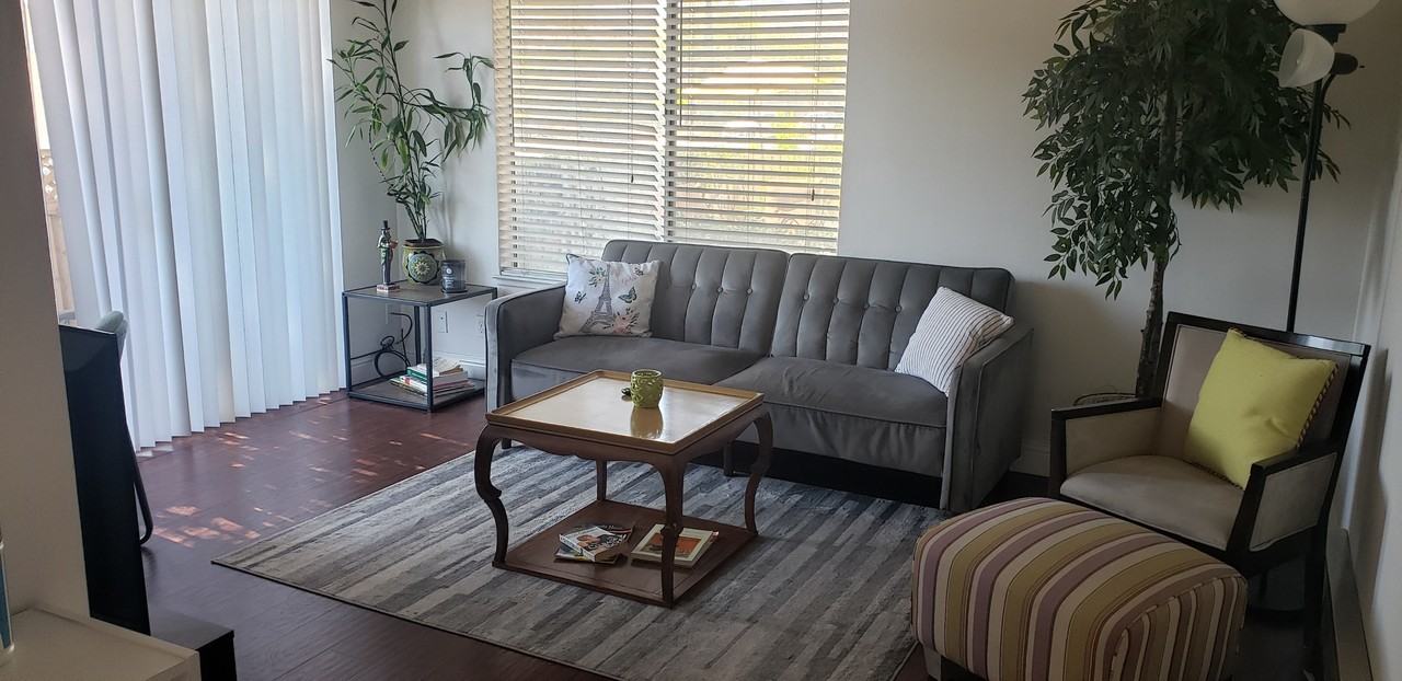 Rainbow - Photo 2 of 19