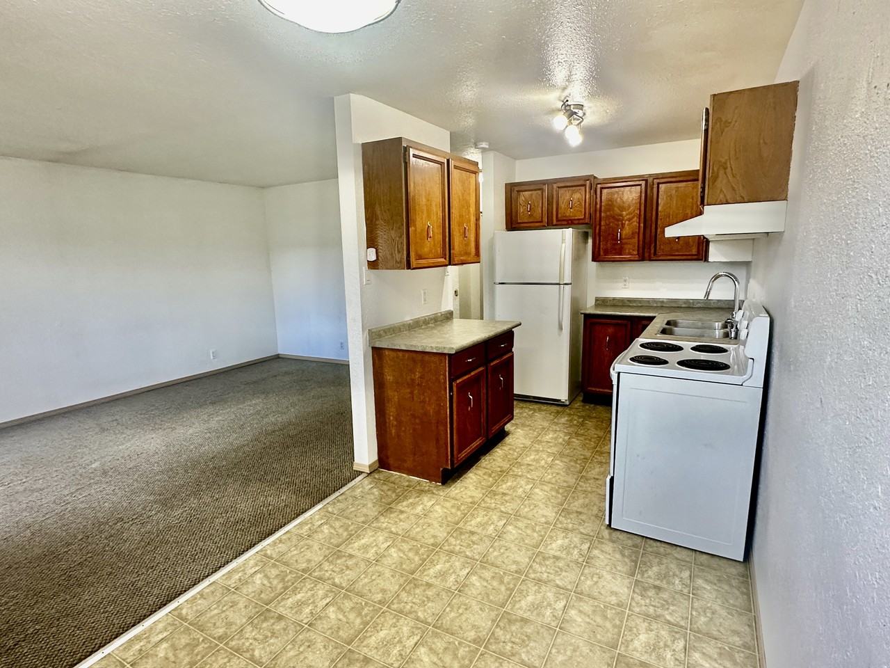 10207 1-10207 Pine Ave W - Photo 3 of 12