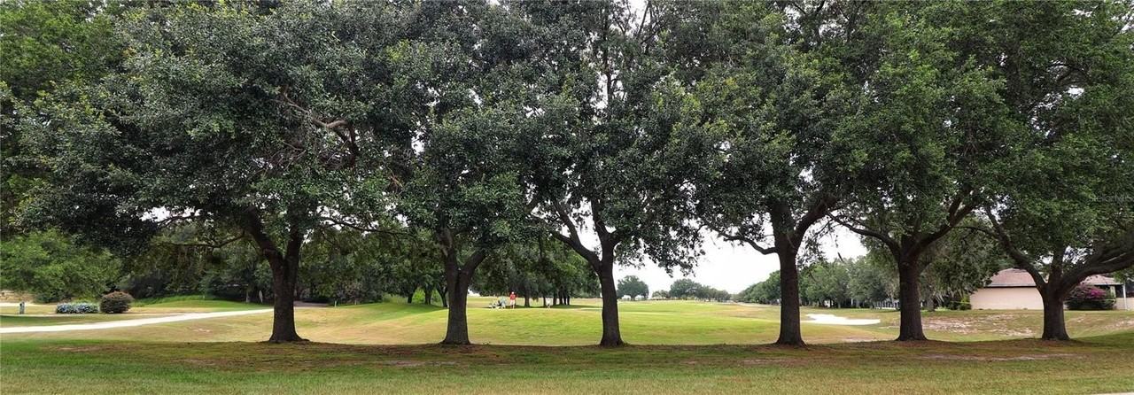 21300 Royal St Georges Ln - Photo 2 of 47