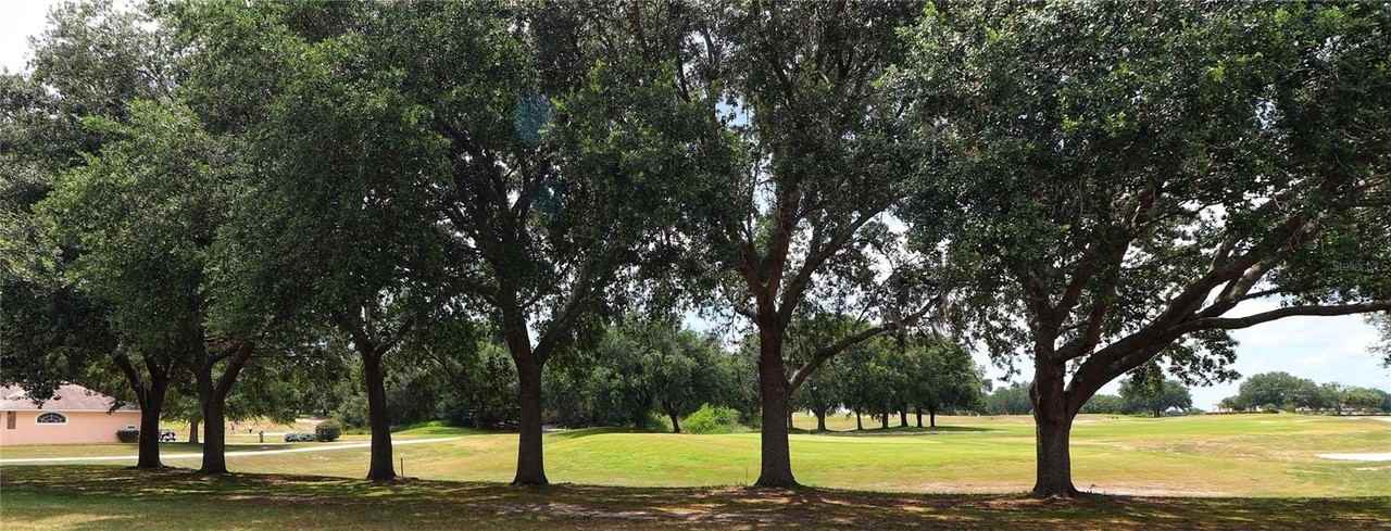 21300 Royal St Georges Ln - Photo 3 of 47