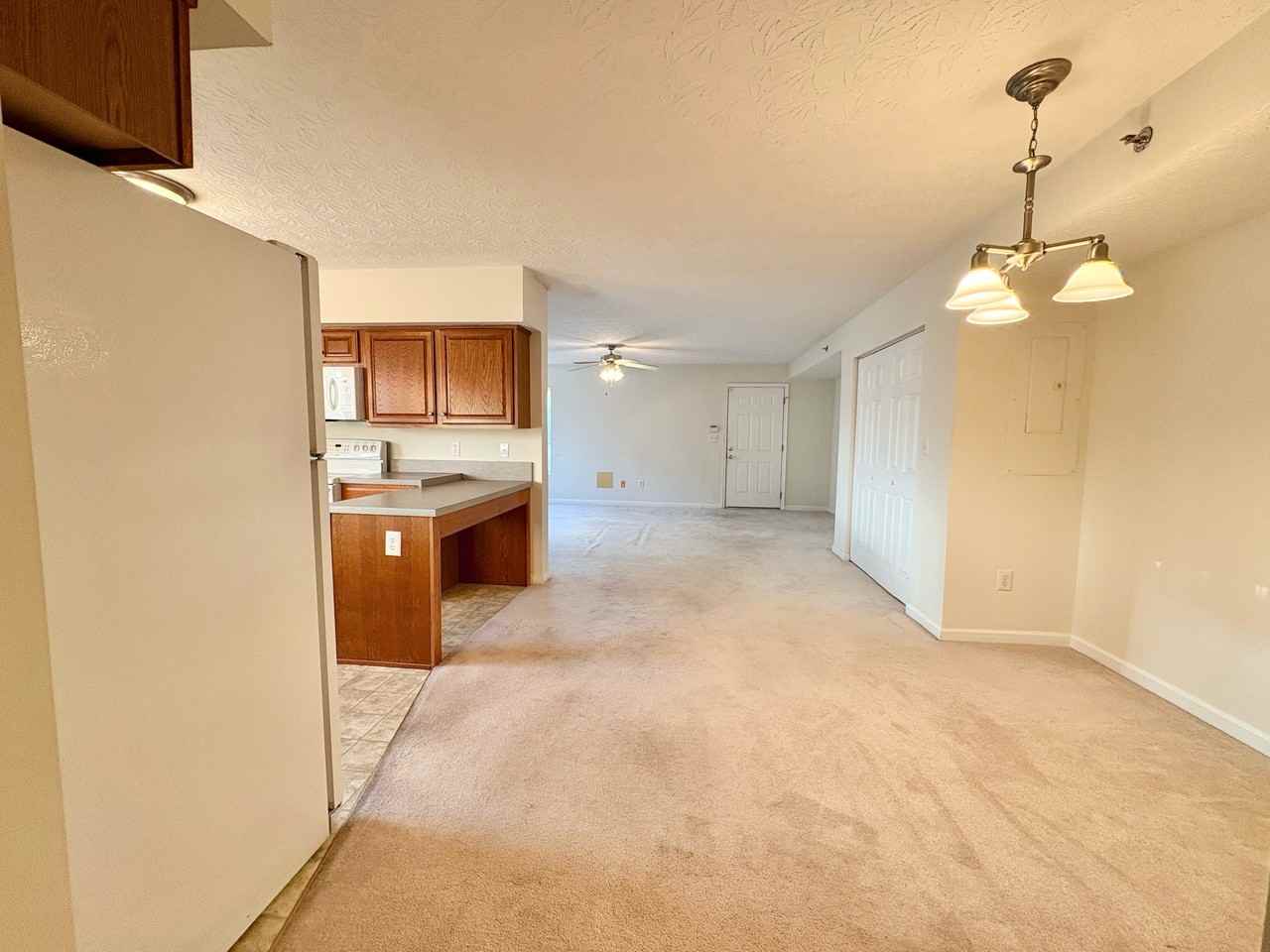 19 Rose Garden Ln #1 - Photo 7 of 17