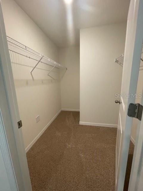 10231 Opaline Sky Pl - Photo 6 of 19