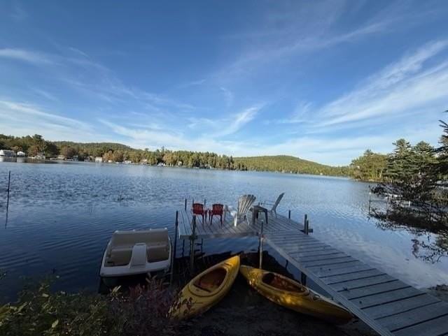 14 Hamel Rd - Photo 2 of 19