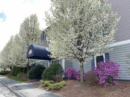 featured image of 99 Eastern Ave #304