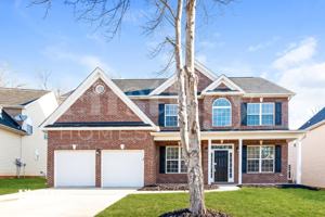 featured image of 8524 Ridgeline Ln