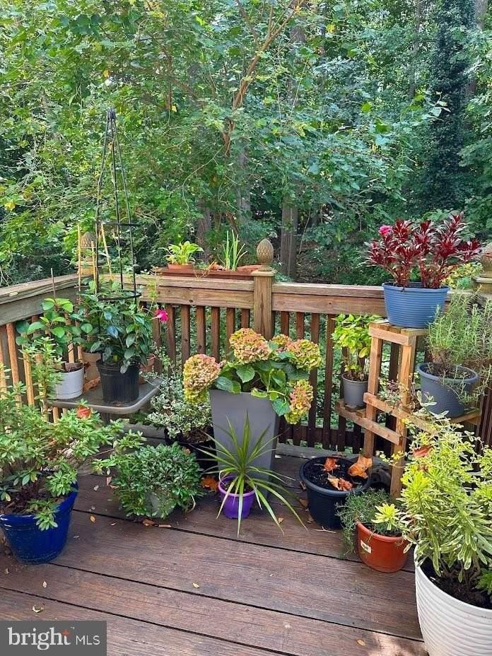 6035 Crown Royal Cir - Photo 3 of 32