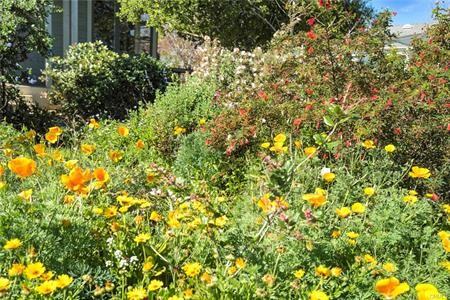 171 Costa Mesa St ##A - Photo 4 of 4