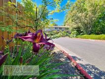 9555 Sw Hall Blvd #22 - Photo 1 of 1