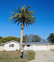 10120 Willow Dr - Photo 1 of 1