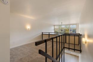 Marlene Renee - Photo 1 of 1