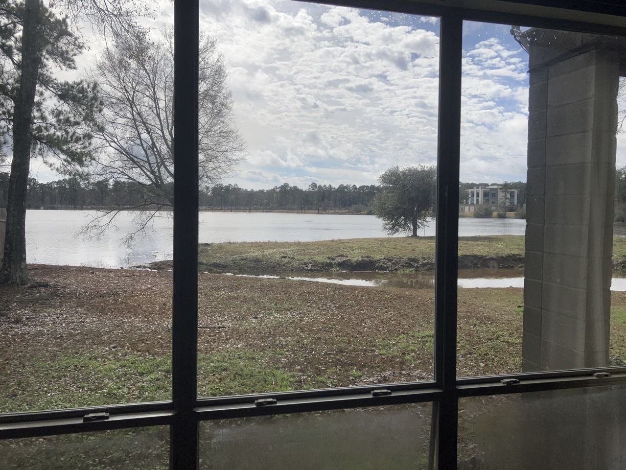 164 Golden Meadow Dr #1 - Photo 6 of 17