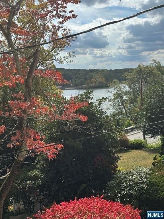 336 Lakeview Ave - Photo 5 of 37