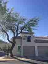 3236 E Chandler Blvd - Photo 1 of 1