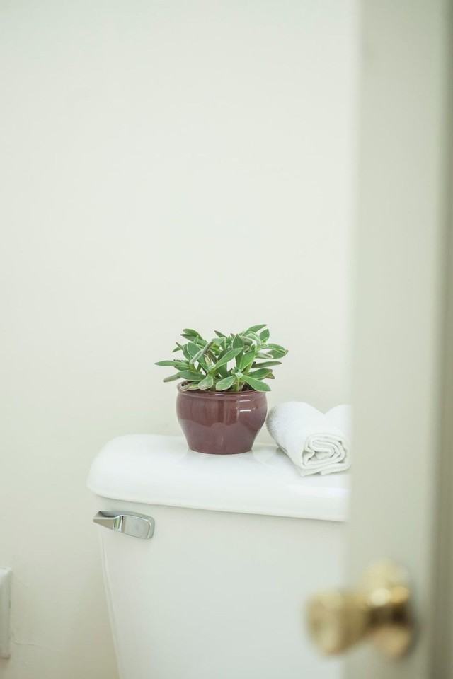 1730 Martin Luther King Jr Way #1501143P - Photo 6 of 10