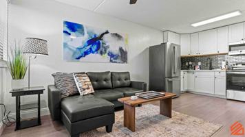 featured image of 556 Coral Ct